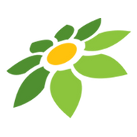 PIXEL FACEBOOK